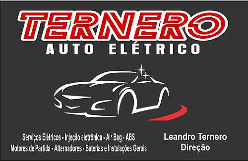 TERNERO AUTO ELÉTRICO